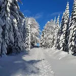 Renner * Altenberg