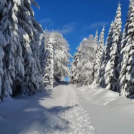 Renner * Altenberg (Erzgebirge)