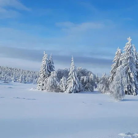 公寓 Renner 库罗阿尔滕堡