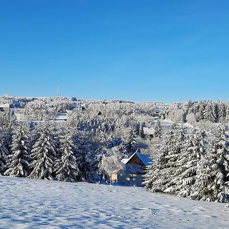 Renner Apartment Altenberg