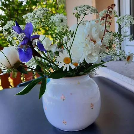 公寓 Renner 库罗阿尔滕堡