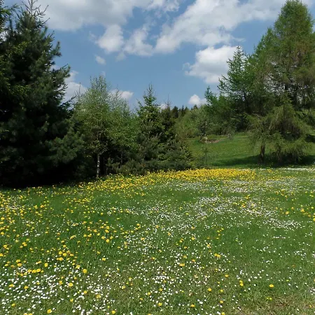 Daire Renner Altenberg (Erzgebirge)