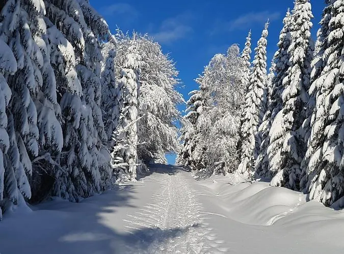 Renner * Альтенберг