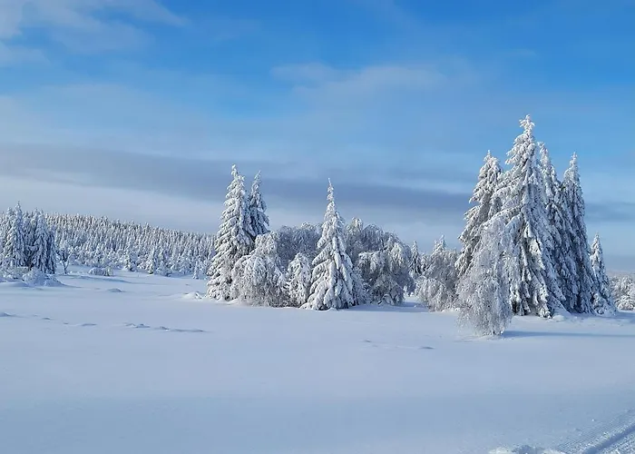 Апартаменты Renner Альтенберг