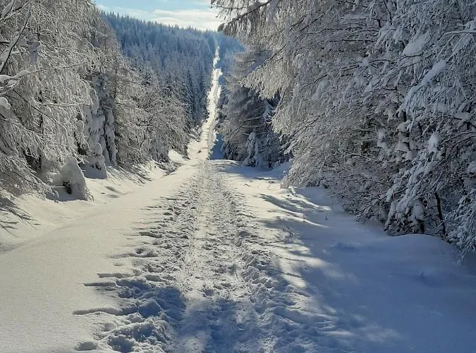 Апартаменты Renner *