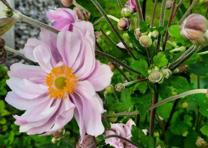 Renner Апартаменты