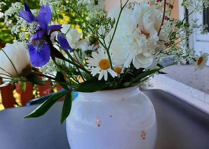 Апартаменты Renner Альтенберг