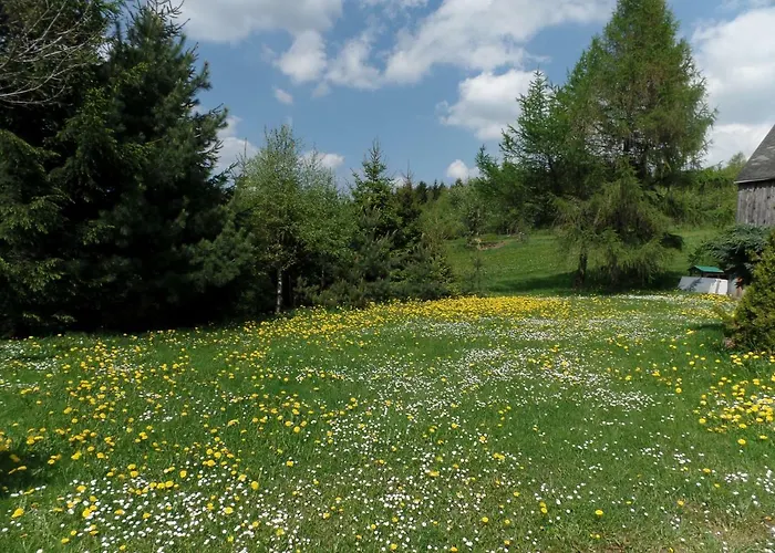 Appartement Renner Altenberg
