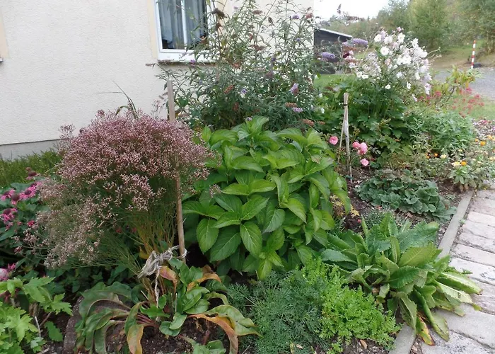 Renner Апартаменты Альтенберг